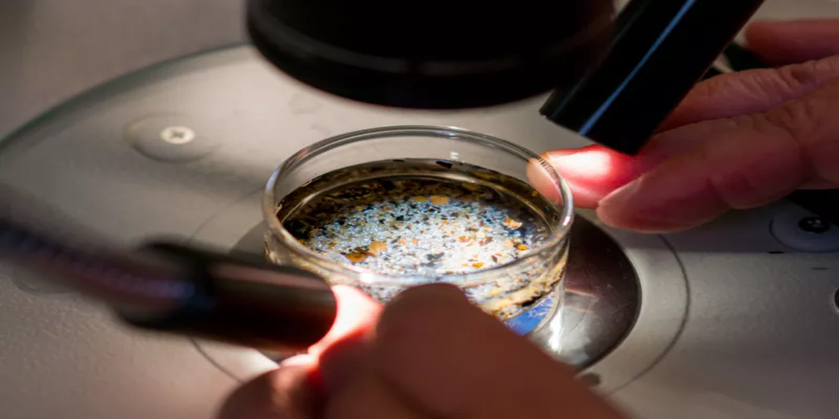 Scientists working hard to understand the impact of microplastic in the environment and in human bodies. Photo: Dr. Heather Leslie/Vrije Universities Amsterdam