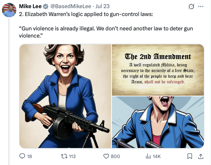 A social media post by Senator Mike Lee shows satirical caricatures of Senator Elizabeth Warren holding firearms next to a rendering of the Second Amendment at WASHINGTON D.C. on 07/28/2026.
