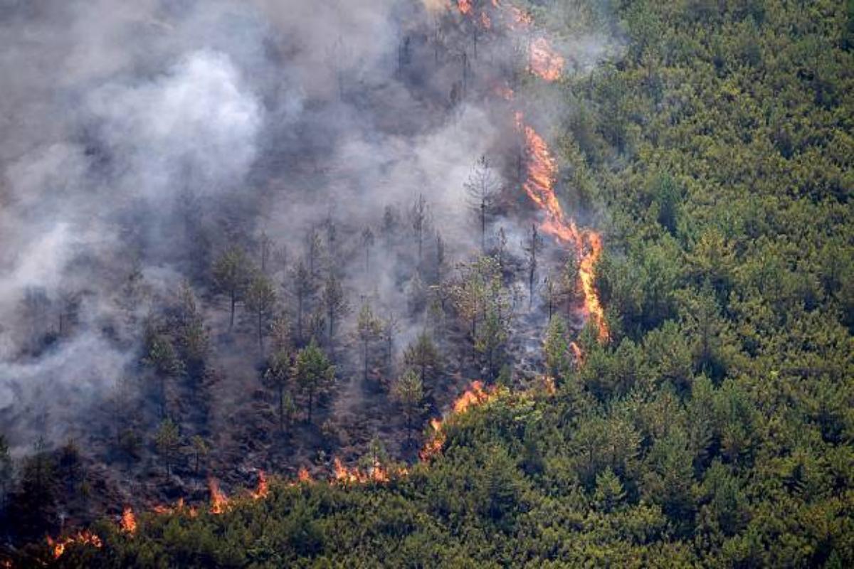 Deadly Wildfire Traps Victims Who Defied Spain Evacuation