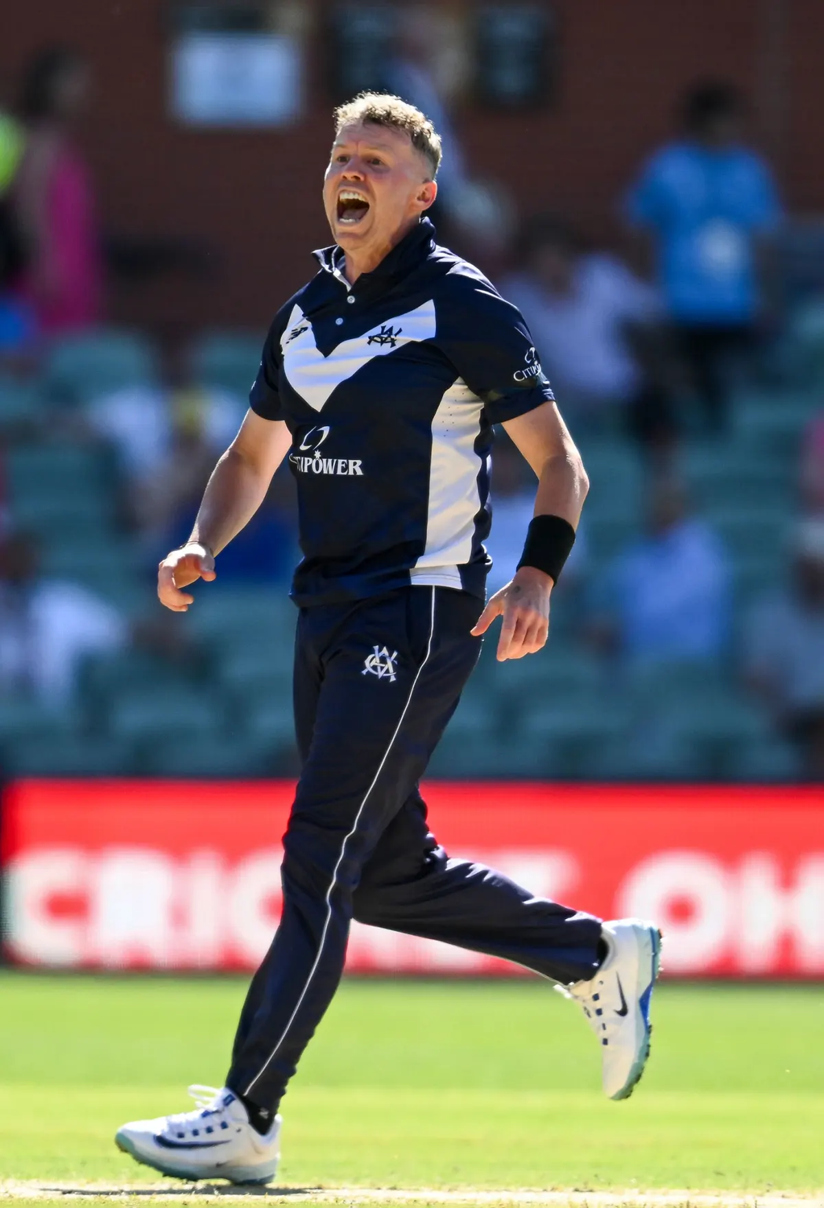 The San Francisco Unicorns named Australian fast bowler Peter Siddle as R Ashwin's replacement for the remainder of the 2026 MLC season in the United States. Photo: MLC. © 2026MLC