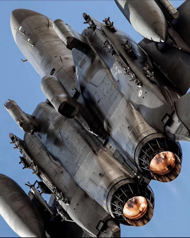 President Donald J. Trump posted an image of a twin-engine military fighter jet online on 08/01/2026.