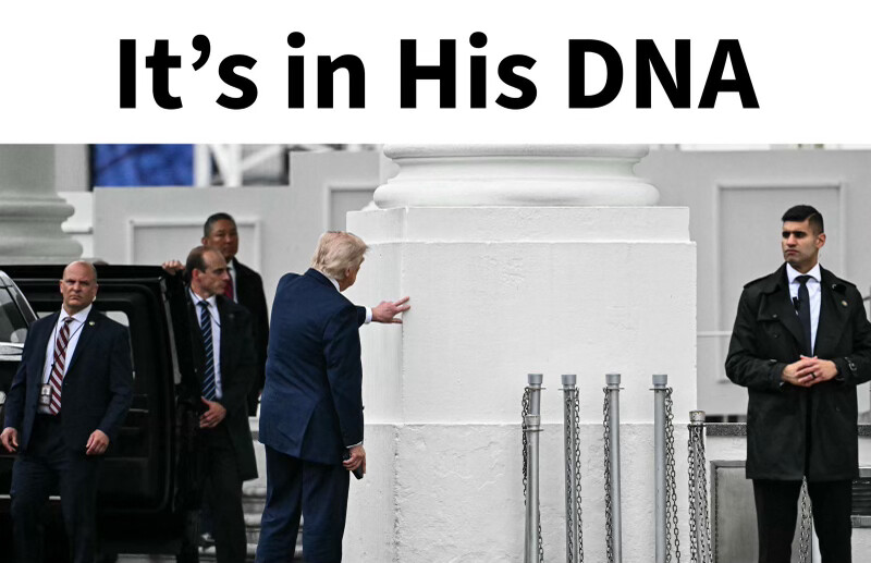 President Donald J. Trump inspects a stone column at the White House in Washington D.C.