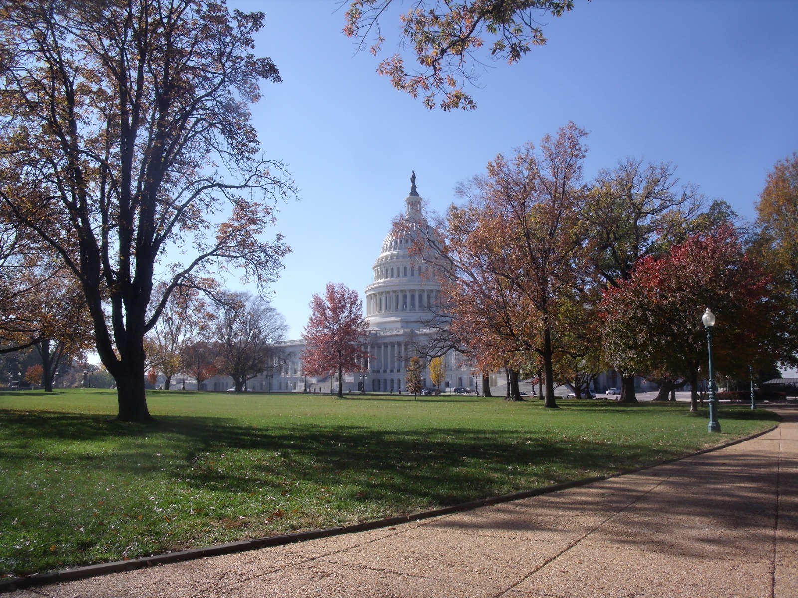 Trump Labels Two House Members and a Michigan Official “Jihadists”