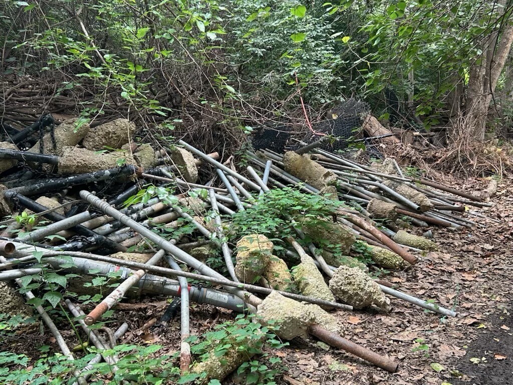President Donald J. Trump shared four photographs depicting discarded pallets and forest debris at Washington D.C.