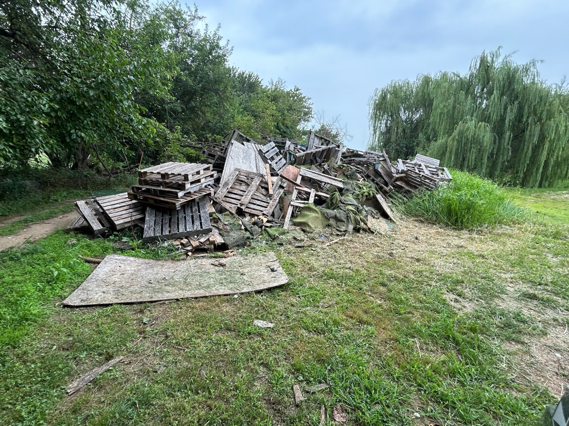 47th President of the United States Donald J. Trump shared images of discarded wooden pallets and forest debris at Washington D.C.
