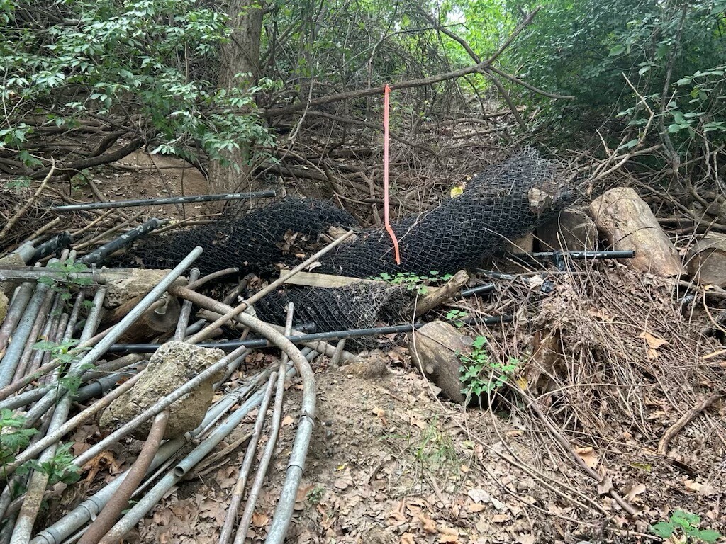 President Donald J. Trump shared images of discarded wooden pallets and forest debris at an overgrown outdoor lot on 10/20/2026.