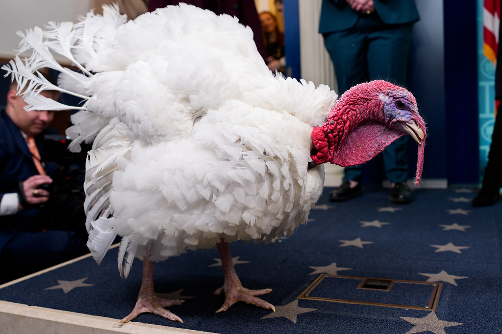 Press Secretary Katie Zacharia posed at the White House on 10/11/2026. She is beginning her term as the White House Press Secretary, a critical role in the administration's communication strategy.